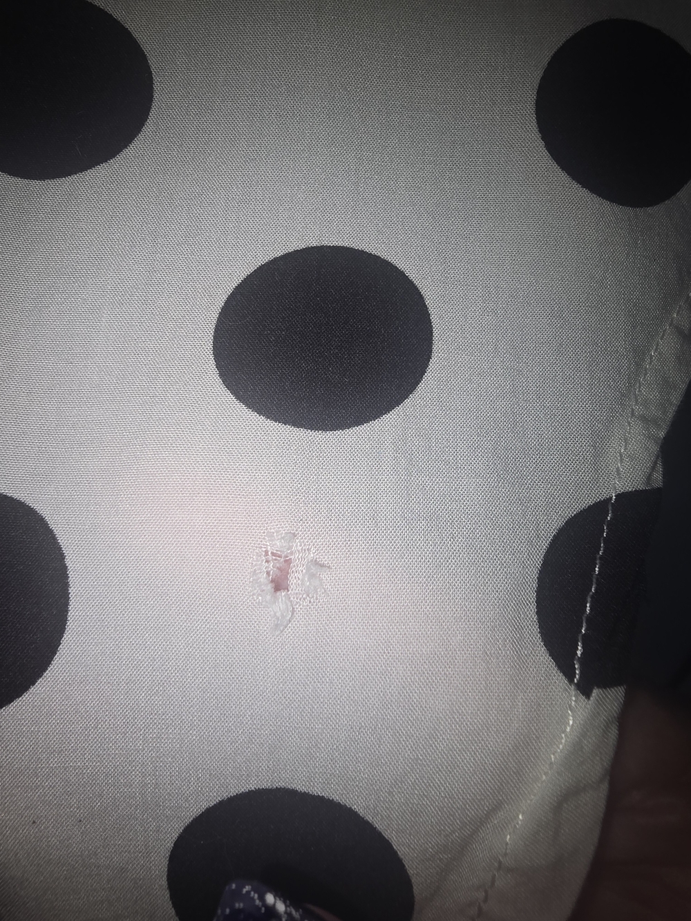 Polka Dot Short-Sleeve Button-Up Shirt - Black/White - Picture 7 of 9